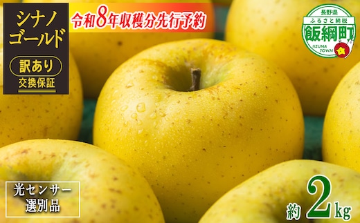 【 感謝りんご / 光センサー選別品 】 りんご シナノゴールド 訳あり 2kg （ 5玉 〜 12玉 ） 交換保証 ながの農業協同組合 沖縄県への配送不可 2026年11月上旬頃から2026年11月下旬頃まで順次発送予定 令和8年度収穫分 傷 不揃い リンゴ 林檎 果物 フルーツ 信州 長野 8000円 予約 長野県 飯綱町 [1868]