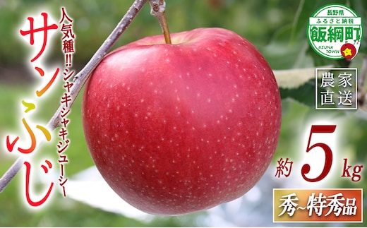 りんご サンふじ 秀 ～ 特秀 5kg 一里山農園 沖縄県への配送不可 2026年12月上旬頃から2026年12月中旬頃まで順次発送予定 令和8年度収穫分 エコファーマー 減農薬栽培 信州 果物 フルーツ リンゴ 林檎 長野 予約 農家直送 長野県 飯綱町 [1897]