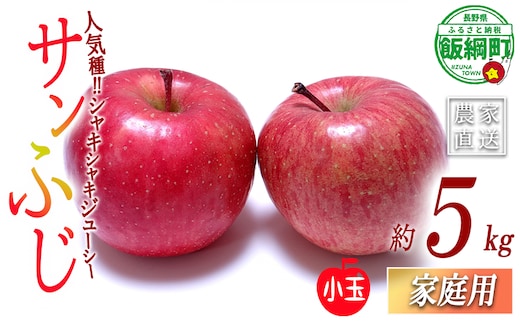 りんご サンふじ (小玉) 家庭用 5kg 一里山農園 沖縄県への配送不可 2026年12月上旬頃から2026年12月中旬頃まで順次発送予定 令和8年度収穫分 エコファーマー 減農薬栽培 信州 果物 フルーツ リンゴ 林檎 長野 予約 農家直送 長野県 飯綱町 [1899]