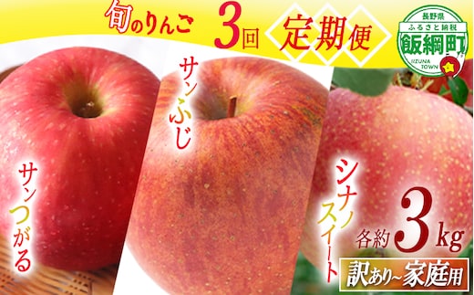 旬のりんご 【 定期便 】 訳あり ～ 家庭用 3kg × 3回 マルハ農園 沖縄県への配送不可 2026年9月上旬から2026年12月中旬まで順次発送予定 令和8年度収穫分 エコファーマー認定 信州 果物 フルーツ リンゴ 林檎 長野 予約 農家直送 長野県 飯綱町 [1932]