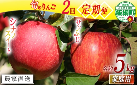 旬のりんご 【 定期便 】 家庭用 5kg × 2回 マルカズりんご農園 沖縄県への配送不可 2026年10月中旬頃から2026年12月上旬頃まで順次発送予定 令和8年度収穫分 減農薬栽培 予約 農家直送 長野県 飯綱町 [1935]