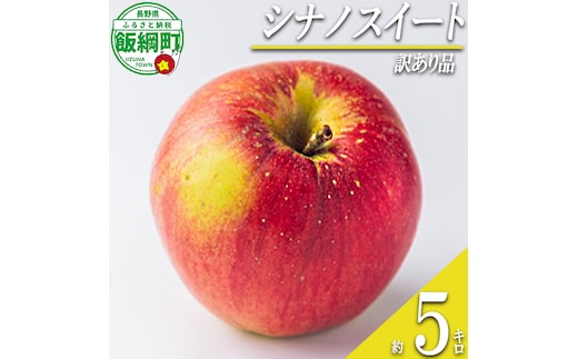 【 甘さ最強 / シナノスイート 】 りんご シナノスイート 訳あり 5kg 2026年10月下旬頃から2026年11月上旬頃まで順次発送予定 ふるさと振興公社 リンゴ 林檎 長野県 飯綱町 [2019]