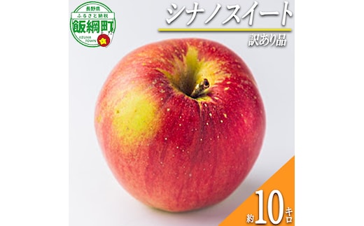 【 甘さ最強 / シナノスイート 】 りんご シナノスイート 訳あり 10kg 2026年10月下旬頃から2026年11月上旬頃まで順次発送予定 ふるさと振興公社 リンゴ 林檎 長野県 飯綱町 [2020]