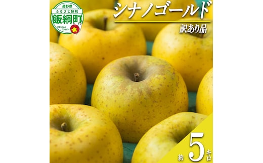 【 甘酸っぱい / シナノゴールド 】 りんご シナノゴールド 訳あり 5kg 2026年11月上旬頃から2026年12月上旬頃まで順次発送予定 ふるさと振興公社 リンゴ 林檎 長野県 飯綱町 [2022]