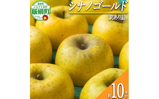 【 甘酸っぱい / シナノゴールド 】 りんご シナノゴールド 訳あり 10kg 2026年11月上旬頃から2026年12月上旬頃まで順次発送予定 ふるさと振興公社 リンゴ 林檎 長野県 飯綱町 [2023]