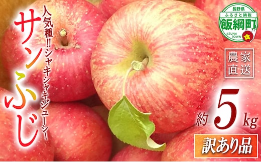 【 訳あり品 】 りんご サンふじ 5kg ( 11玉 ～ 20玉 ) 訳あり ふじ リンゴ 島田フルーツ農園 沖縄県への配送不可 令和8年収穫分 2026年12月上旬から2027年1月下旬頃までお申込み順に発送予定 林檎 訳アリ わけあり 不揃い 果物 くだもの フルーツ 長野県産 長野 お試し 5キロ 長野県 飯綱町 [2072]