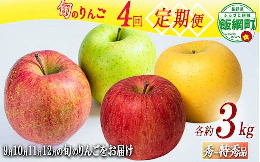 旬のりんご 【 定期便 】 秀 ～ 特秀 3kg × 4回 3キロ ( 8玉 ～ 12玉 ） 9月のりんご 10月のりんご 11月のりんご 12月のりんご 島田フルーツ農園 沖縄県への配送不可 2026年9月上旬頃から2026年12月下旬頃まで順次発送予定 令和8年度収穫分 長野県 飯綱町 [2074]