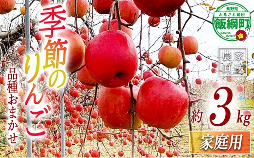季節の林檎 飯綱町の美味しい りんご 家庭用 3kg ( 品種はおまかせ ) 沖縄県への配送不可 2026年9月下旬頃から2026年12月下旬頃まで順次発送予定 令和8年収穫分 信州 果物 フルーツ りんご リンゴ 長野 長野県 飯綱町 [1916]