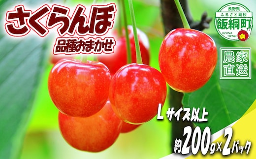 【 Lサイズ以上 冷蔵便 朝採り 当日発送 】 さくらんぼ Lサイズ以上 200g × 2パック （ 品種おまかせ ） 配送先は本州限定 2026年6月中旬〜2026年7月上旬まで順次発送予定 サイズL チェリー サクランボ 長野県 飯綱町 [2076]