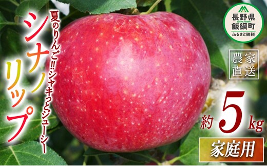 りんご シナノリップ 家庭用 5kg ヤマウラ農園 沖縄県への配送不可 2026年8月中旬頃から2026年8月下旬頃まで順次発送予定 令和8年度収穫分 信州 果物 フルーツ リンゴ 林檎 長野 予約 農家直送 長野県 飯綱町 [1570]