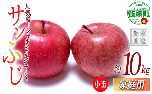 りんご サンふじ (小玉) 家庭用 10kg 一里山農園 沖縄県への配送不可 2026年12月上旬頃から2026年12月中旬頃まで順次発送予定 令和8年度収穫分 エコファーマー 減農薬栽培 信州 果物 フルーツ リンゴ 林檎 長野 予約 農家直送 長野県 飯綱町 [2106]