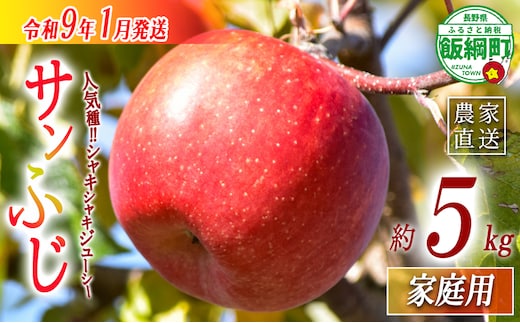 【 年明け発送 】 りんご サンふじ 家庭用 5kg 丸西農園 沖縄県への配送不可 2027年1月上旬頃から2027年1月中旬頃まで順次発送予定 令和8年度収穫分 特別栽培農産物 ( 除草剤 化学肥料 不使用 ) 信州 果物 フルーツ リンゴ 林檎 長野 予約 農家直送 長野県 飯綱町 [2101]