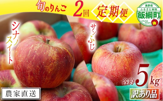 旬のりんご 【 定期便 】 訳あり 5kg × 2回 ヤマハチ農園 沖縄県への配送不可 2026年10月上旬頃から2026年12月下旬頃まで順次発送予定 令和8年度収穫分 BLOF理論栽培 傷 不揃い リンゴ 林檎 果物 フルーツ 信州 長野 予約 農家直送 長野県 飯綱町 [1944]