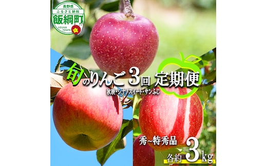 旬のりんご 【 定期便 】 秀～特秀 3kg × 3回 丸山りんご園 沖縄県への配送不可 2026年10月上旬頃から2026年12月下旬頃まで順次発送予定 令和8年度収穫分 信州 果物 フルーツ リンゴ 林檎 長野 予約 農家直送 長野県 飯綱町 [1833]