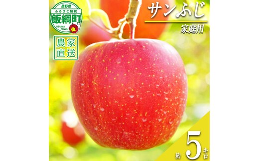りんご サンふじ 家庭用 5kg 清次郎農園 沖縄県への配送不可 2026年12月上旬頃から2026年12月下旬頃まで順次発送予定 令和8年度収穫分 信州 果物 フルーツ リンゴ 林檎 長野 予約 農家直送 長野県 飯綱町 [2118]