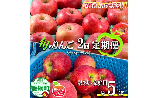 【 定期便 / フレッシュ便 】 旬のりんご 家庭用 〜 訳あり 5kg × 2回 葉とらずりんご フレッシュフルーツミカズキ 沖縄県への配送不可 2026年10月中旬頃から2026年12月中旬頃までお申込み順に発送予定 令和8年度収穫分 リンゴ アップル シナノスイート サンフジ サンふじ 長野県 飯綱町 [2011]