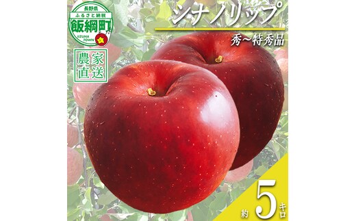 りんご シナノリップ 秀 〜 特秀 5kg 若林農園 沖縄県への配送不可 2026年8月中旬頃から2026年8月下旬頃まで順次発送予定 令和8年度収穫分 信州 果物 フルーツ リンゴ 林檎 長野 予約 農家直送 長野県 飯綱町 [2119]