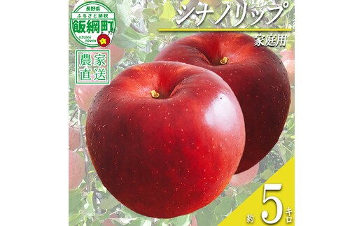 りんご シナノリップ 家庭用 5kg 若林農園 沖縄県への配送不可 2026年8月中旬頃から2026年8月下旬頃まで順次発送予定 令和8年度収穫分 信州 果物 フルーツ リンゴ 林檎 長野 予約 農家直送 長野県 飯綱町 [2120]