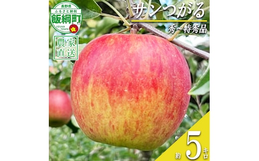 りんご サンつがる 秀 〜 特秀 5kg 若林農園 沖縄県への配送不可 2026年8月下旬頃から2026年9月上旬頃まで順次発送予定 令和8年度収穫分 信州 果物 フルーツ リンゴ 林檎 長野 予約 農家直送 長野県 飯綱町 [2121]