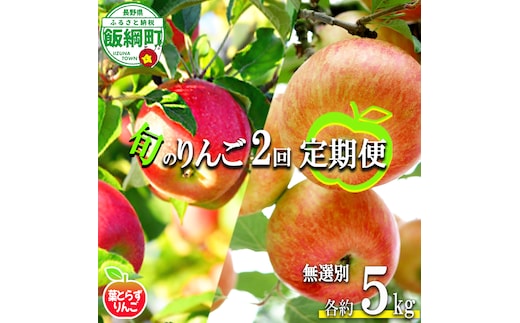 旬のりんご 【 定期便 】 葉とらず 無選別 5kg × 2回 エバラ農園 減農薬栽培 沖縄県への配送不可 2026年10月中旬頃から2026年11月下旬頃まで順次発送予定 令和8年度収穫分 長野県 飯綱町 [1881]