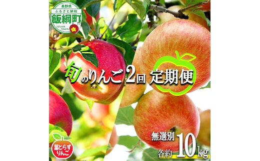 旬のりんご 【 定期便 】 葉とらず 無選別 10kg × 2回 エバラ農園 減農薬栽培 2026年10月中旬頃から2026年11月下旬頃まで順次発送予定 令和8年度収穫分 長野県 飯綱町 [1951]