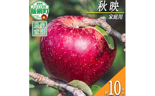 りんご 秋映 家庭用 10kg 信州いいづな 相澤農園株式会社 2026年9月下旬頃から2026年10月中旬頃まで順次発送予定 令和8年度収穫分 長野県 飯綱町 [1962]