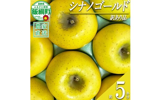 りんご シナノゴールド 訳あり 5kg アグリファーム小林 信州の環境にやさしい農産物認証 （ 長野県認証 No50-30-00064 ） 沖縄県への配送不可 2026年11月上旬頃から2026年11月下旬頃まで順次発送予定 令和8年度収穫分 長野県 飯綱町 [2127]