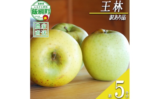 【 あまいりんご ／ 王林 】 りんご 王林 訳あり 5kg アグリファーム小林 信州の環境にやさしい農産物認証 （ 長野県認証 No50-30-00064 ） 沖縄県への配送不可 2026年11月上旬頃から2026年11月下旬頃まで順次発送予定 令和8年度収穫分 甘いりんご 長野県 飯綱町 [1998]