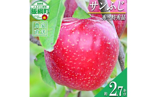 サンふじ 秀～特秀 2.7kg いいづな松橋園 2026年12月上旬頃から2026年12月下旬頃までお申込み順に発送予定 令和8年度収穫分 リンゴ アップル サンフジ サンふじ 長野県 飯綱町 [2135]