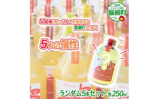 ミステリーりんごジュース 信州 飯綱産りんごジュース【 品種おまかせ 】 250ml × 5本 いいづなりんご50品種りんごジュース 泉が丘喫茶室 沖縄県への配送不可 飲料 果汁飲料 りんご リンゴ 林檎 ジュース 100% ストレート 50品種 いいづなコネクト EAST 長野県 飯綱町 [2151]