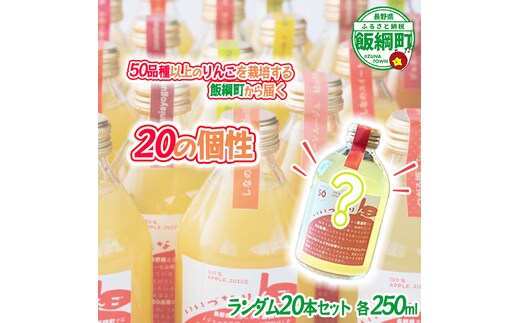 ミステリーりんごジュース 信州 飯綱産りんごジュース【 品種おまかせ 】 250ml × 20本 いいづなりんご50品種りんごジュース 泉が丘喫茶室 飲料 果汁飲料 りんご リンゴ 林檎 ジュース 100% ストレート 50品種 いいづなコネクト EAST 長野県 飯綱町 [2152]