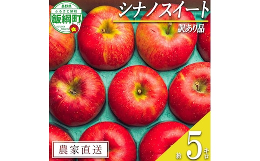 りんご シナノスイート 訳あり 5kg 原山農園 沖縄県への配送不可 2026年10月中旬頃から2026年11月上旬頃まで順次発送予定 令和8年度収穫分 信州 果物 フルーツ リンゴ 林檎 長野 予約 農家直送 長野県 飯綱町 [2024]