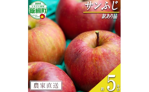 りんご サンふじ 訳あり 5kg 原山農園 沖縄県への配送不可 2026年12月中旬頃から2027年2月上旬頃まで順次発送予定 令和8年度収穫分 傷 不揃い リンゴ 林檎 果物 フルーツ 信州 長野 予約 農家直送 長野県 飯綱町 [2025]