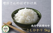 [0640]【令和6年度収穫分】増田ファームのお米　こしひかり5kg　はぜかけ　※沖縄県への配送不可 　※2024年11月上旬頃から順次発送予定　長野県飯綱町