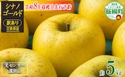 【 感謝りんご / 光センサー選別品 】 りんご シナノゴールド 訳あり 5kg （ 12玉 〜 25玉 ） 交換保証 ながの農業協同組合 沖縄県への配送不可 2026年11月上旬頃から2026年11月下旬頃まで順次発送予定 令和8年度収穫分 傷 不揃い リンゴ 林檎 果物 フルーツ 信州 長野 予約 長野県 飯綱町 [1208]