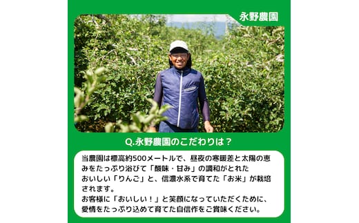 年明け発送 】 りんご サンふじ 訳あり 5kg 永野農園 沖縄県への配送