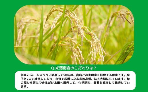 米 こしひかり 10kg × 3回 【 3か月 定期便 】( 令和5年産 ) 沖縄県へ