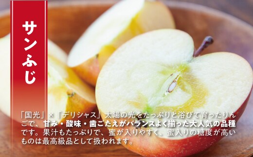 りんご サンふじ グルメ 5kg 最高級 最高ランク 糖度17度以上 光