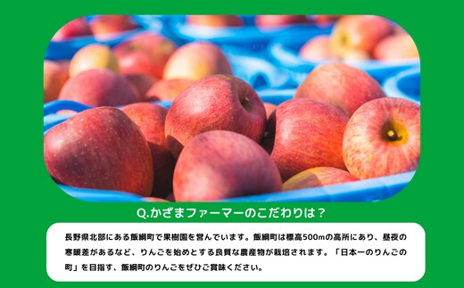 りんご サンふじ 秀～特秀 10kgかざまファーマー 沖縄県への配送不可