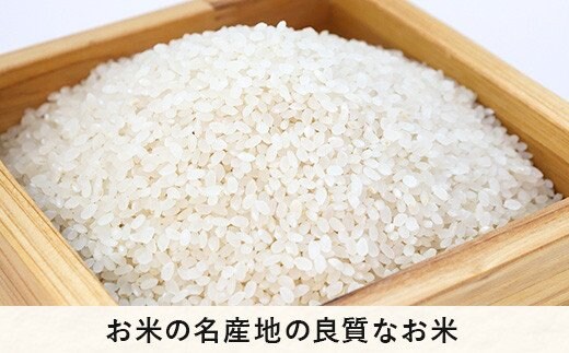 米 こしひかり 精米 10kg ( 令和5年産 ) かざまファーマー 沖縄県への