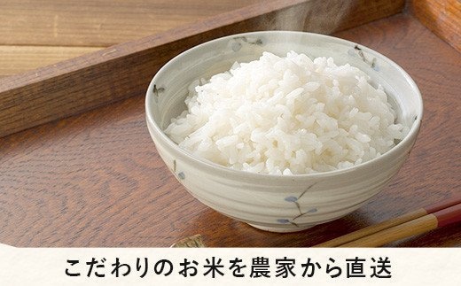 米 こしひかり 10kg ( 令和5年産 ) 高橋商事 沖縄県への配送不可 2023