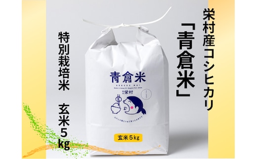 《令和７年産》長野県栄村産コシヒカリ「青倉米」特別栽培米玄米５kg