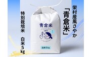 《令和７年産》長野県栄村産風さやか「青倉米」特別栽培米白米５kg