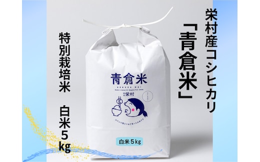 《令和７年産》長野県栄村産コシヒカリ「青倉米」特別栽培米白米５kg