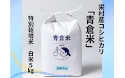 《令和７年産》長野県栄村産コシヒカリ「青倉米」特別栽培米白米５kg