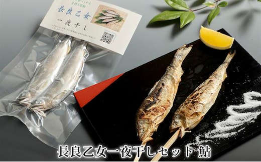 長良乙女一夜干しセット 鮎 和食 惣菜 魚 つまみ おかず お酒 晩酌 あて お供 肴 魚料理 調理済み 川魚 骨 柔らかい 頭 丸ごと 旨味 凝縮 冷凍 干物 