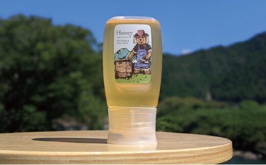 合計300g 天然蜂蜜 国産蜂蜜 非加熱 生はちみつ 岐阜県 美濃市産 (蜂蜜300g入りピタッとボトル1本)A9 深田養蜂のハチミツ