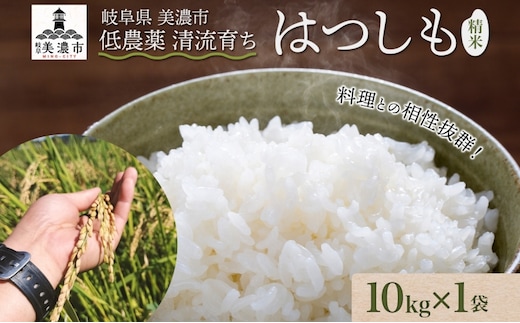 ＜先行予約＞令和8年産 はつしも 精米 10kg×1袋 低農薬 清流育ち 新米 お米 白米 米 ごはん 米 ご飯 ハツシモ R8年産 あっさり ふっくら ブランド米 大粒 幻の米 お取り寄せ 産地直送 送料無料 美濃グリーン 岐阜県 美濃市