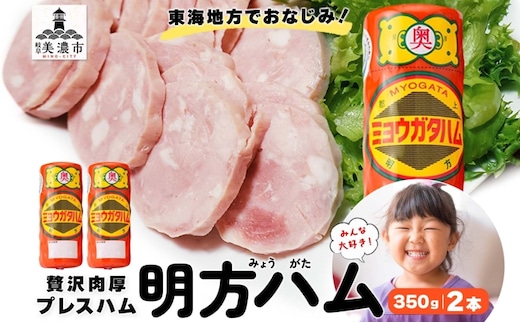 明方 ハム 2本 プレスハム JA ブランド 豚肉 お肉 国産 熟成 塩分 控えめ 豚腸 バーベキュー BBQ 加工品 お取り寄せ 贈答 ギフト 送料無料 めぐみの農業協同組合 岐阜県 美濃市