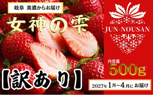 ＜先行予約＞【訳あり】「今までで1番うまい」とグルメ家がうなったイチゴ【女神の雫】 2027年 1月 2月 3月 4月 500g 岐阜県 美濃市 じゅん農産 訳アリ 苺 イチゴ いちご フルーツ 甘い 旬 産地直送